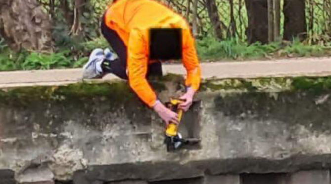 Absolutely Shameless